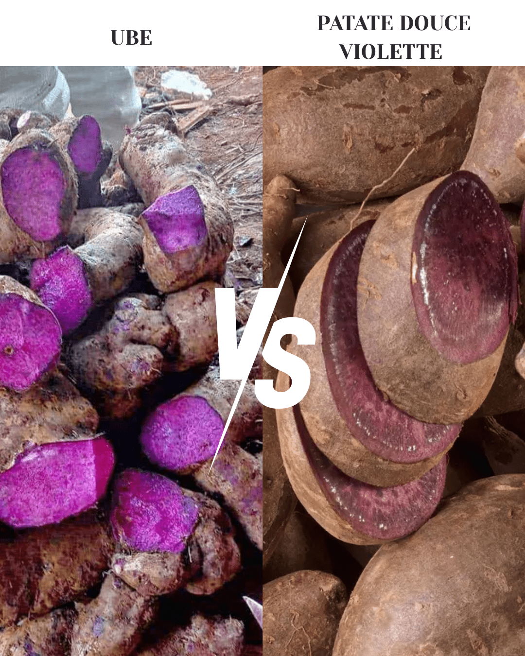 Ube vs Patate Douce Violette : les vraies différences (goût, texture, nutrition, cuisine) - MyUbe