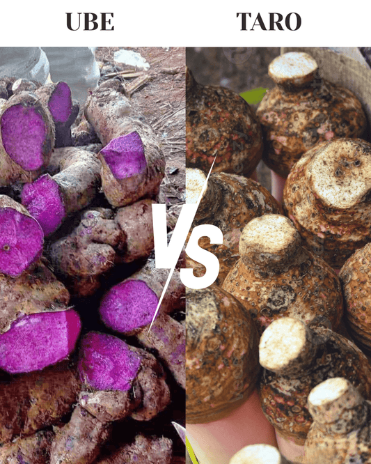 Ube vs Taro : quelles différences entre ces deux tubercules asiatiques ? - MyUbe