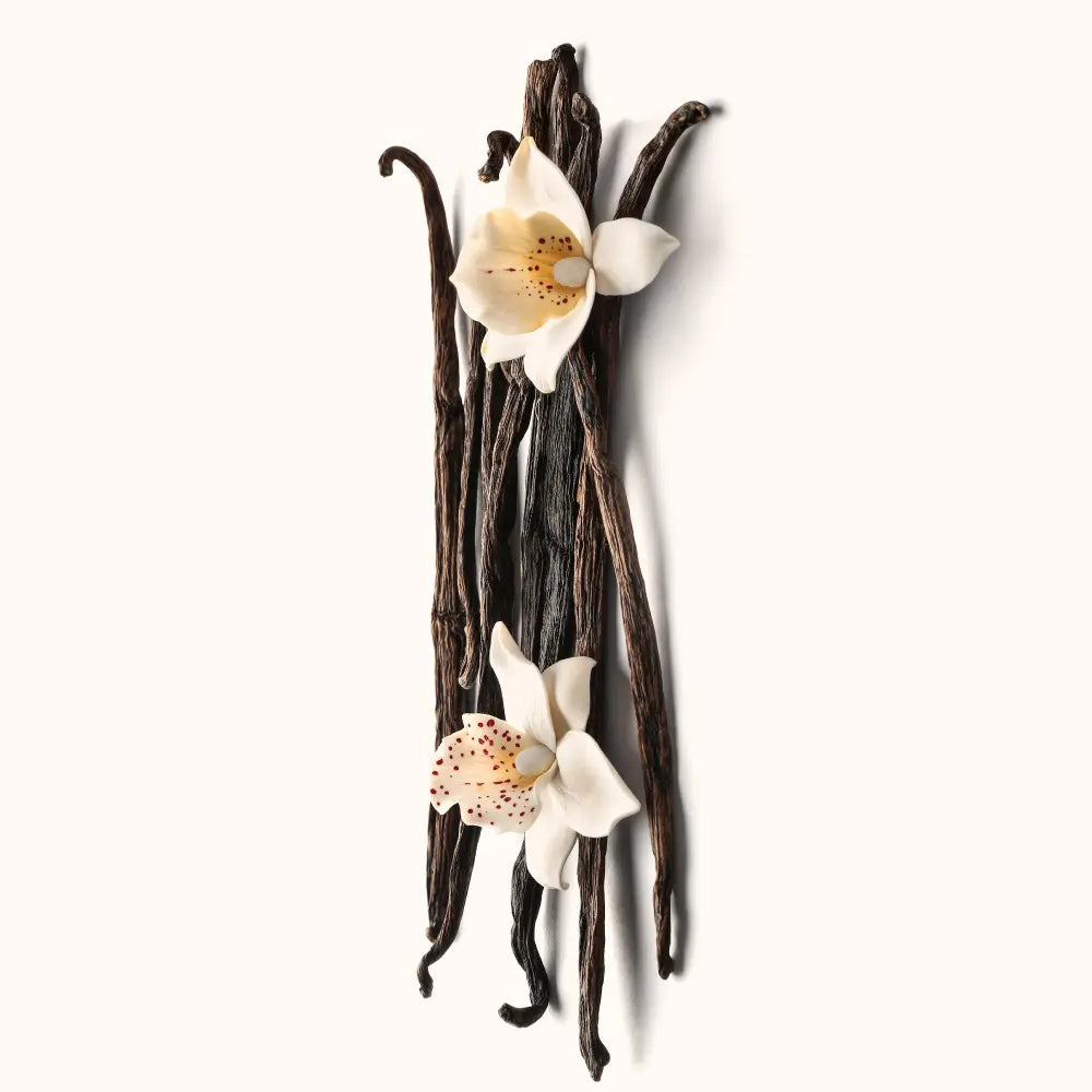 Illustration des notes vanillées naturelles de l’Ube, une saveur douce et réconfortante mise en valeur par la poudre d’Ube MyUbe.